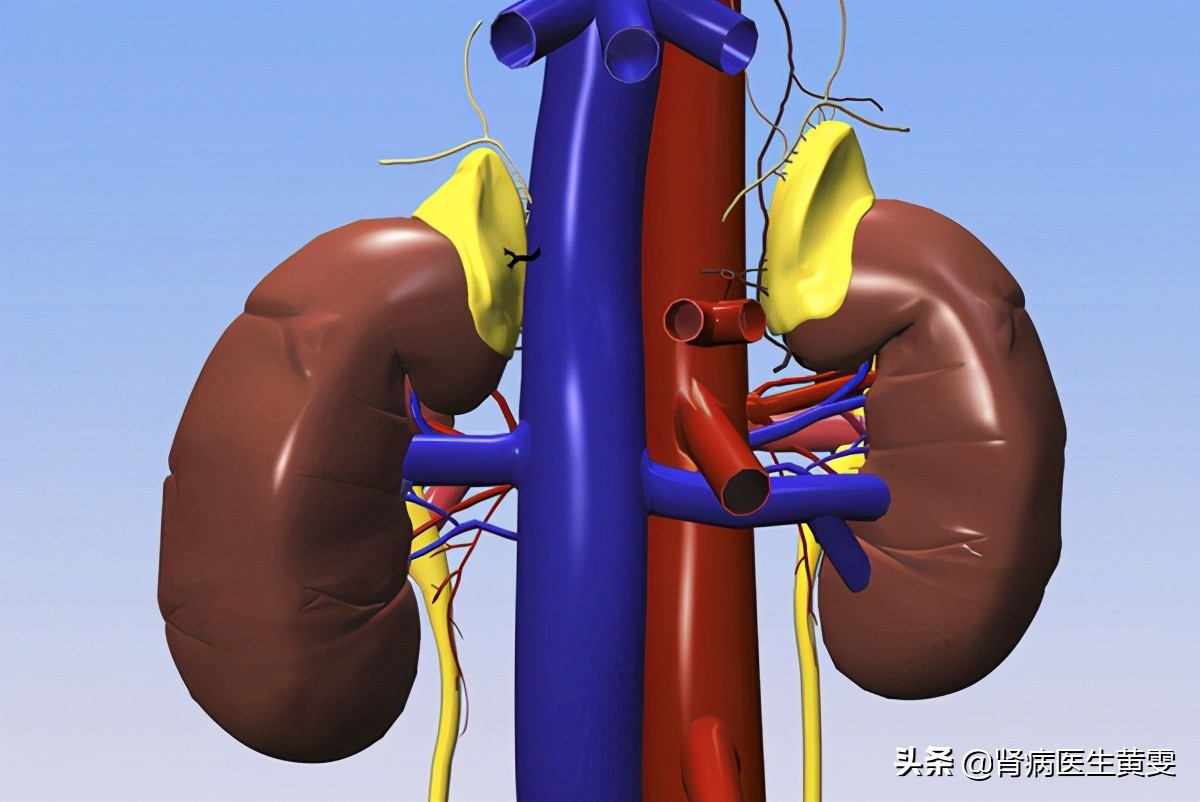 肾病患者血肌酐轻微升高能控制吗,肾病引起肌酐高怎么办如何降