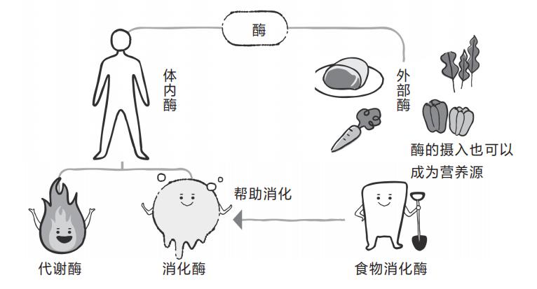脱发不要错过任何生发产品,脱发生发小知识
