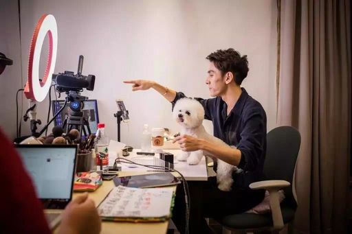 明星跨界背后：61.7%选择做餐饮，淘宝店倒闭率46%，带货不如网红