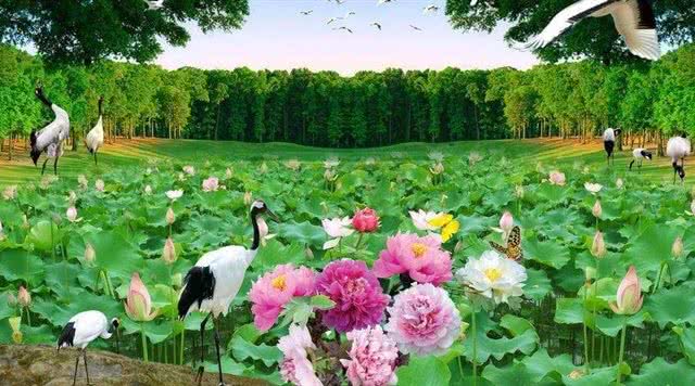 湖北度假村项目,湖北度假村航拍