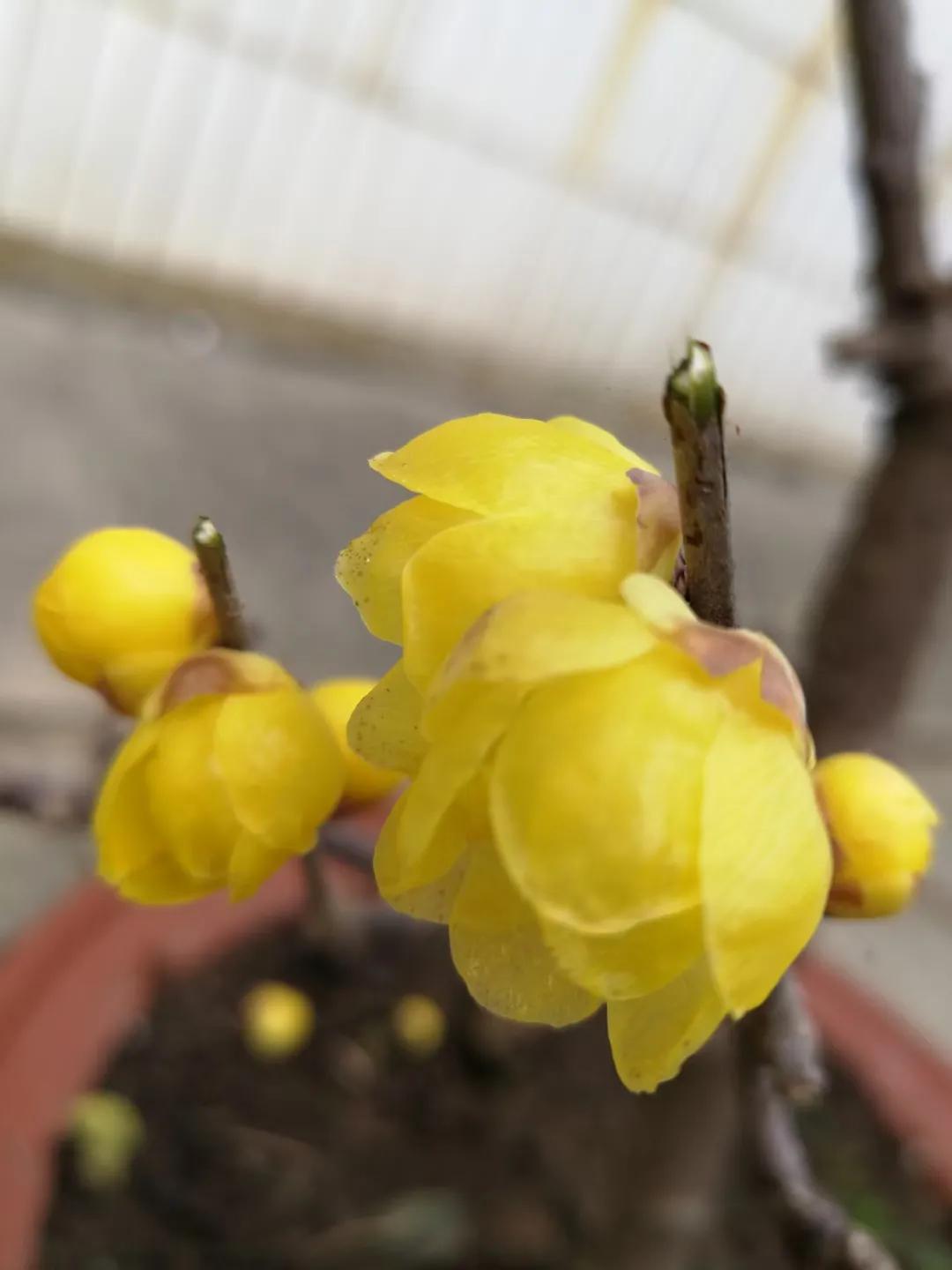 高考语文衔接题型解决方法,高二语文补救最佳方法