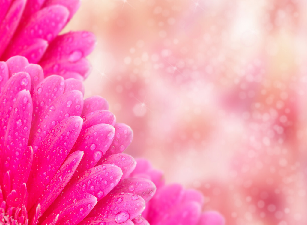 令公桃李满天下，何用堂前更种花。读古诗词，致敬辛苦的园丁