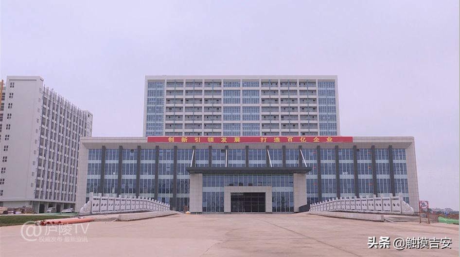 鍚夊畨钀ユ敹10浜夸互涓婄殑浼佷笟,楠勫偛姹熻タ