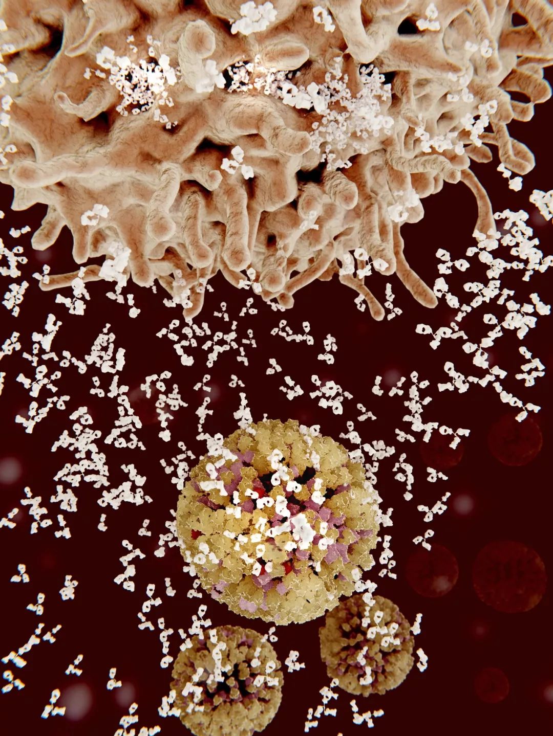 人体防卫战,人体痛点攻击技巧