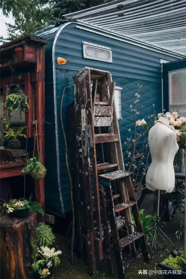 想开一家花店荒度余生,开一家冷门花店