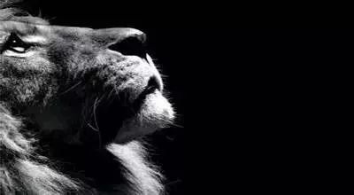 做4s店销售顾问以后有什么前途,4s店销售顾问转行做什么好