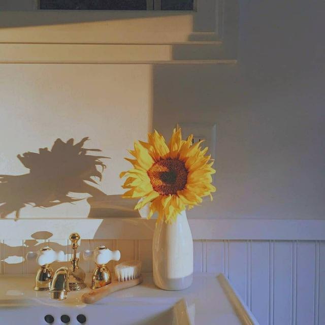 关于纯爱的小说金句,各部甜文小说经典语录