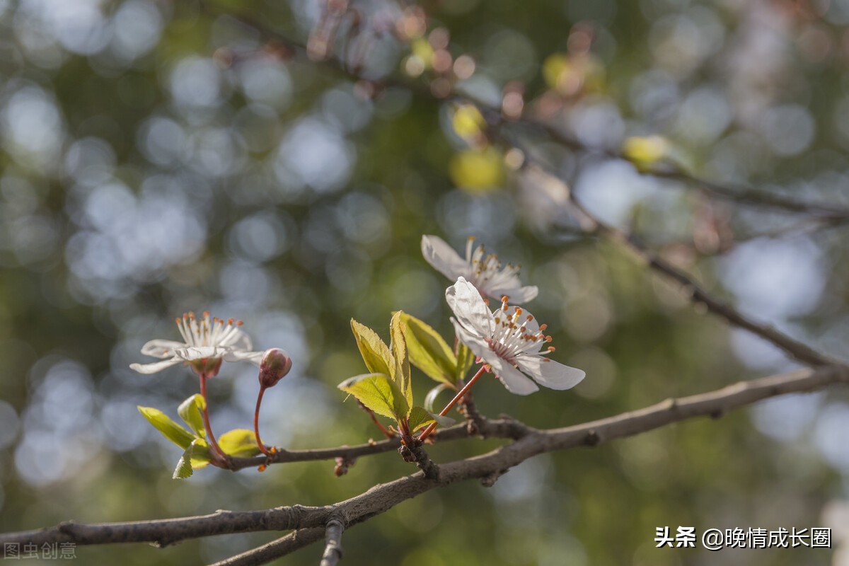别把世态炎凉当回事,别把感情利用到极致