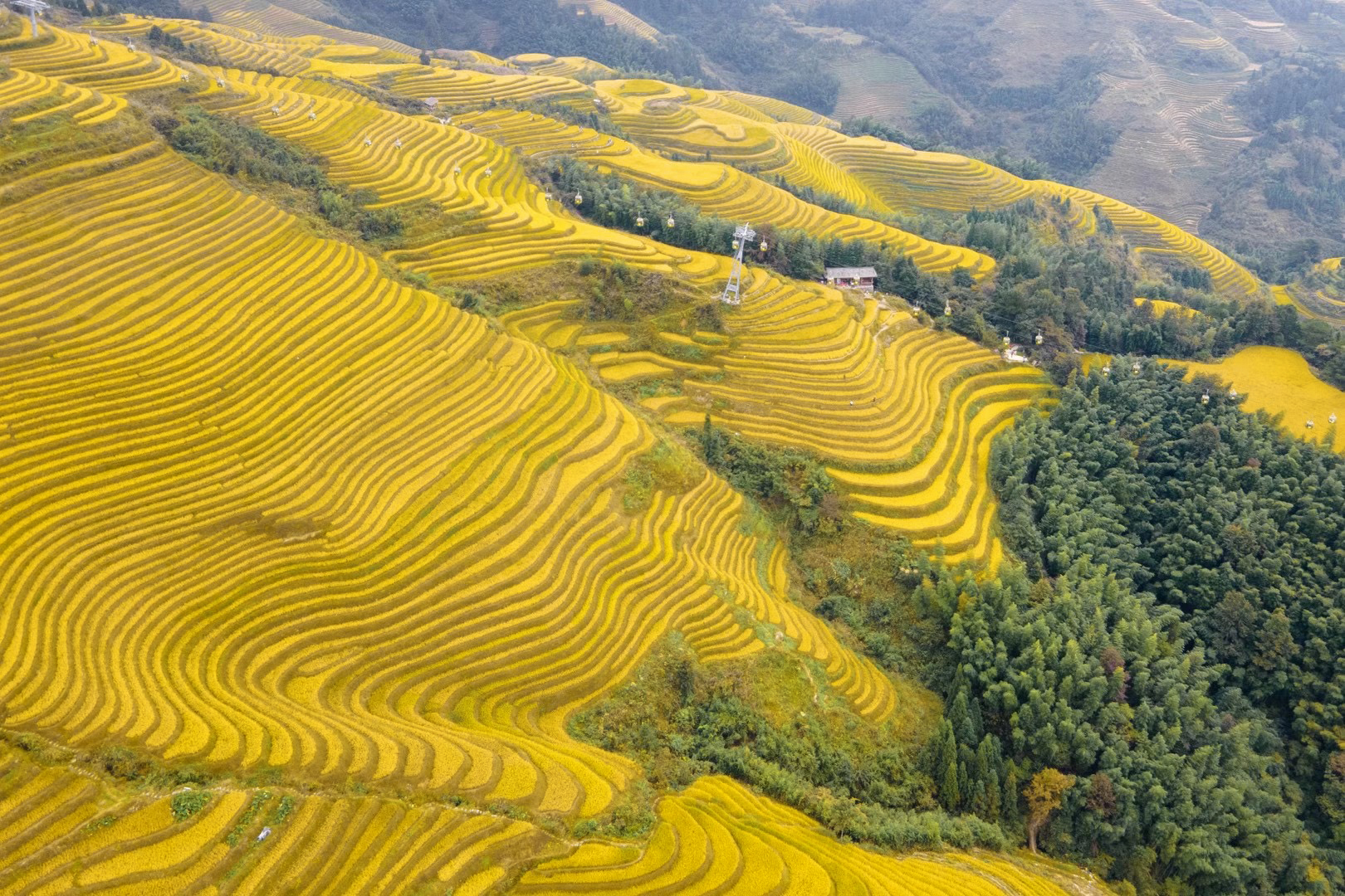 世界奇观龙脊梯田视频,世界梯田之冠桂林龙脊梯田