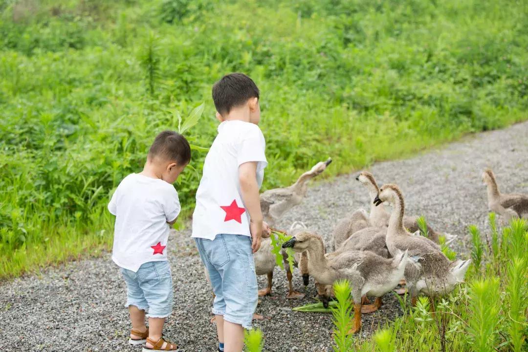 离杭17min，意大利设计师做了一个“最中国”的庄园，媲美安缦