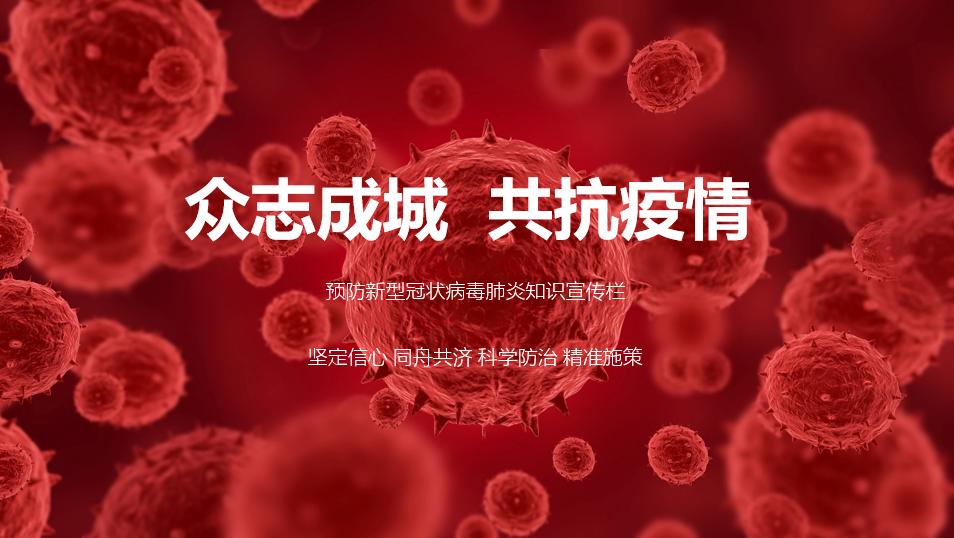 新手如何做ppt2019,经验分享思路ppt