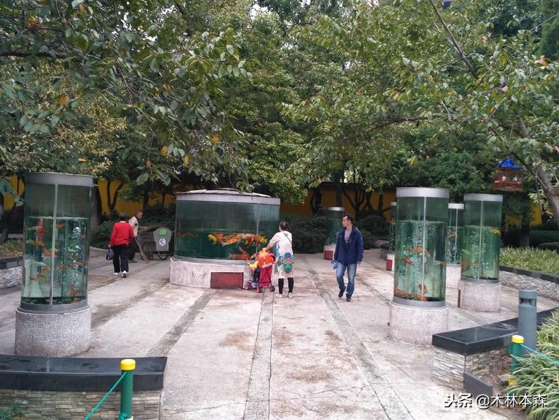 去常州天宁寺拜啥,去天宁寺坐几路车