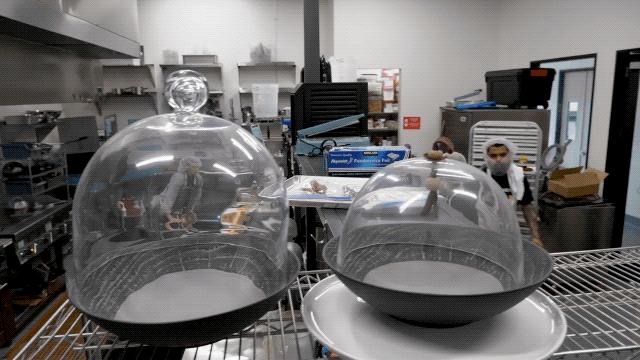 人造肉将来新消息,人造肉热潮来了