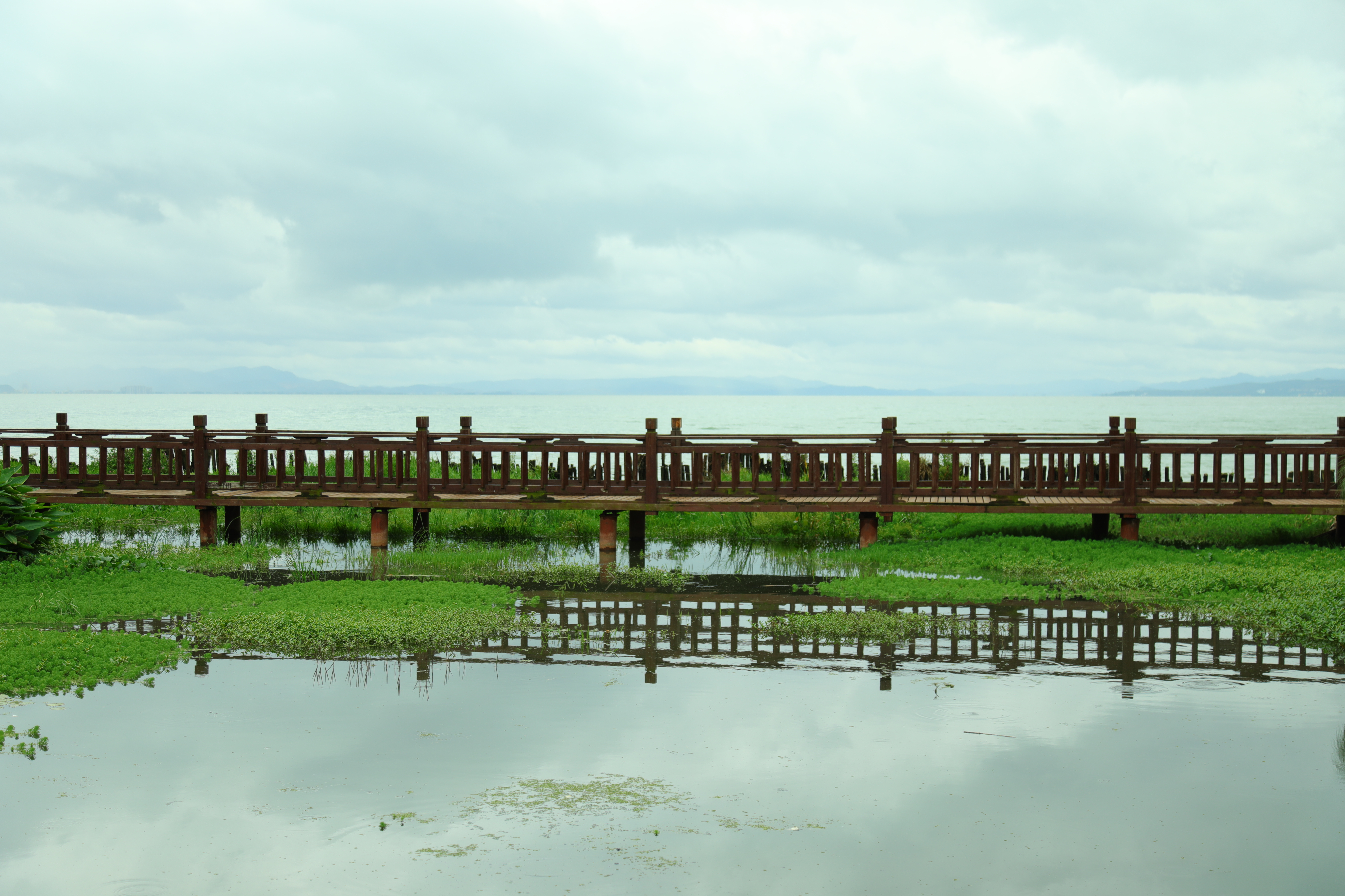 新年昆明旅游攻略,元旦只有一天假