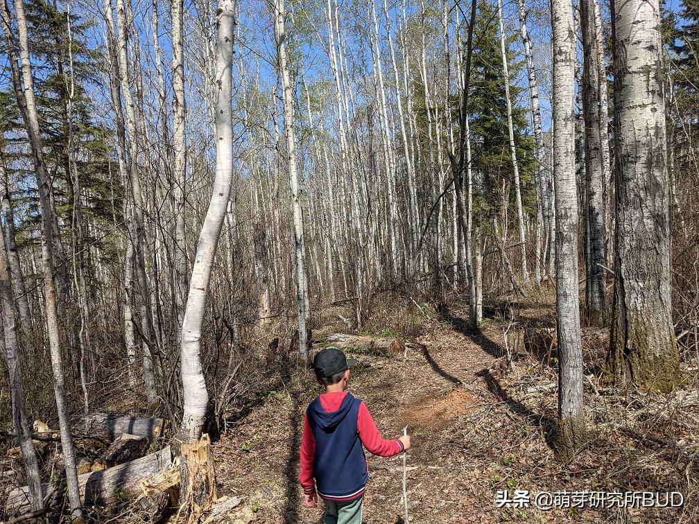 亲子不过夜露营必备物品清单,户外露营小攻略2人