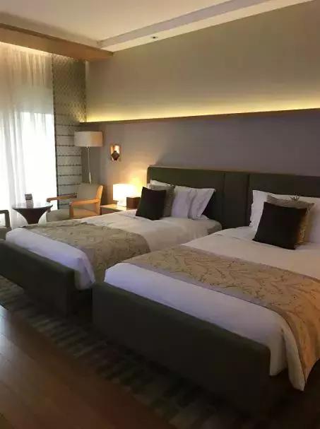 澳门|带着1岁半的娃，如何游澳门？