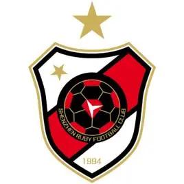 不能说的痛何鹏版,中超裁判艾堃