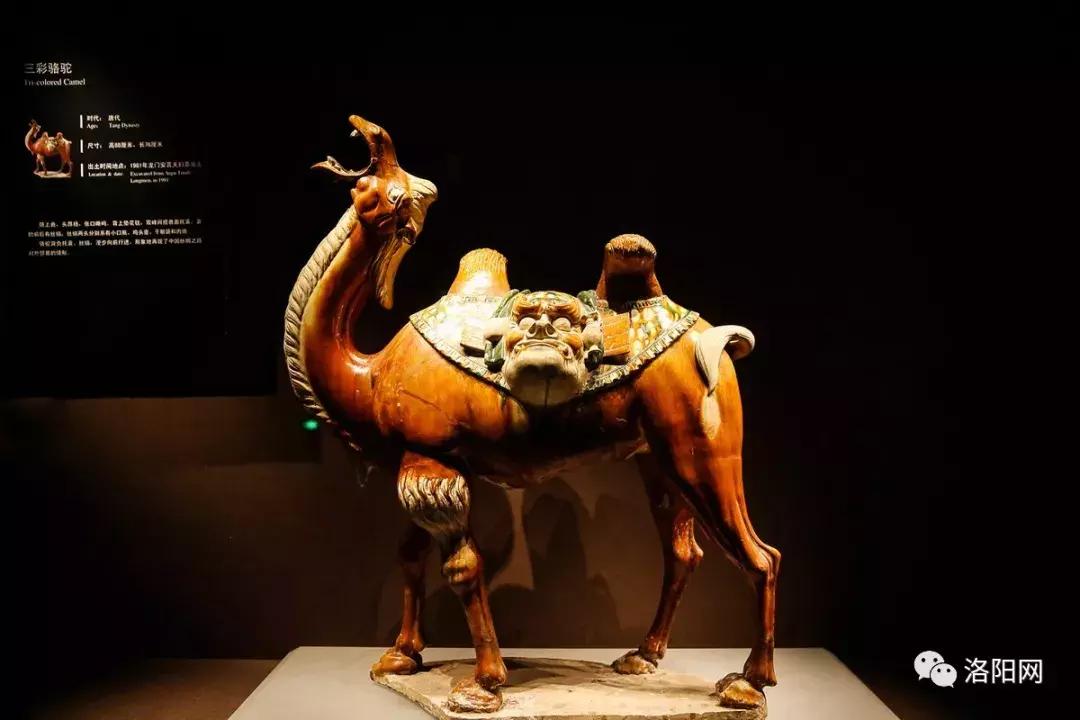 洛阳向全球推介,洛阳向世界发出邀请