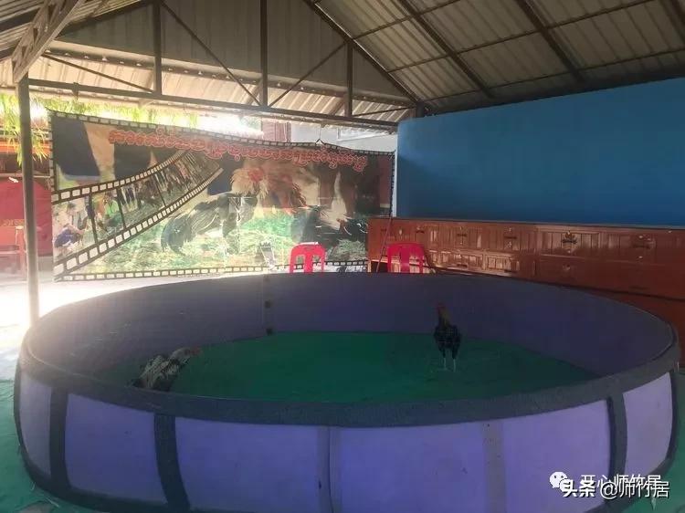 柬埔寨游记600字,柬埔寨游记美篇