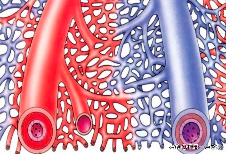 眩晕耳聋耳鸣急躁易怒,耳鸣耳聋心情烦躁浑身无力