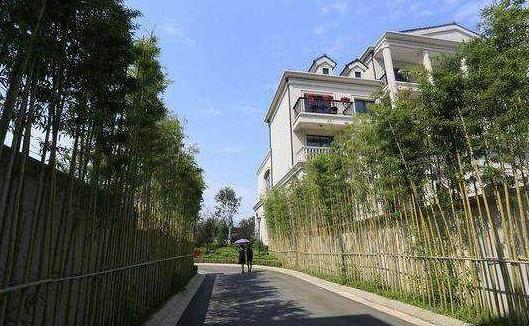 朱婷五层豪宅设计,朱婷豪宅三层别墅