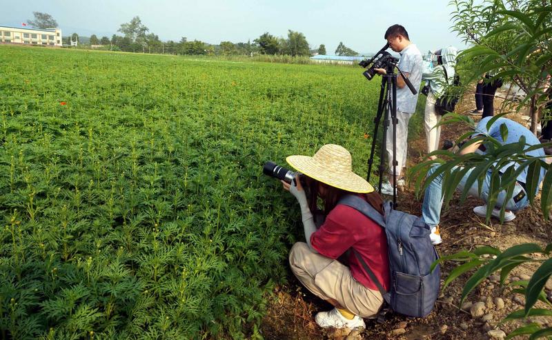 粤港澳大湾区自媒体访韶关：稻花香里说乐昌丰年