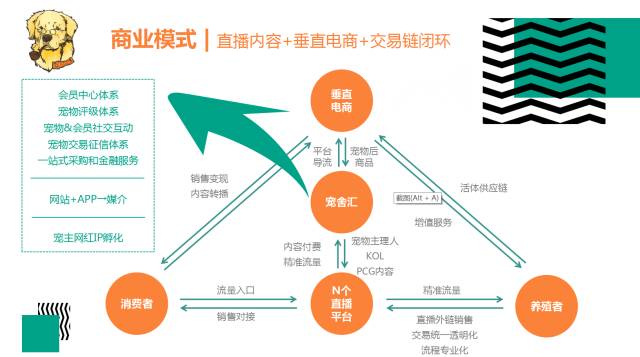 宠物经济新方向“萌宠频道”幕后操盘手ALEX