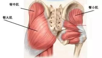 翘臀的标准是臀部肌肉紧实有力,扁平臀练出翘臀用什么器械最有效