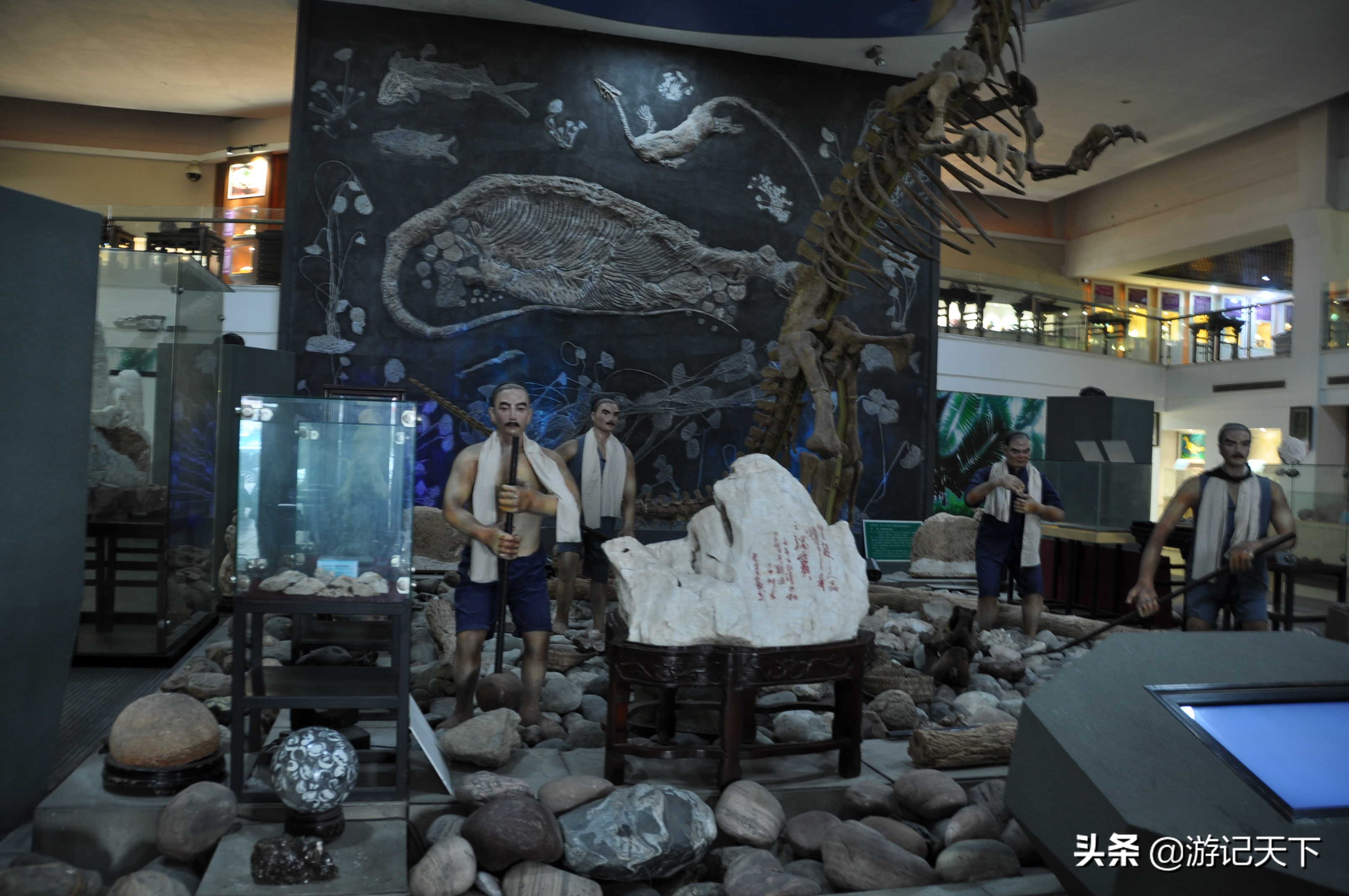 参观上海东方地质科普馆,上海东方地质科普馆需要预约吗