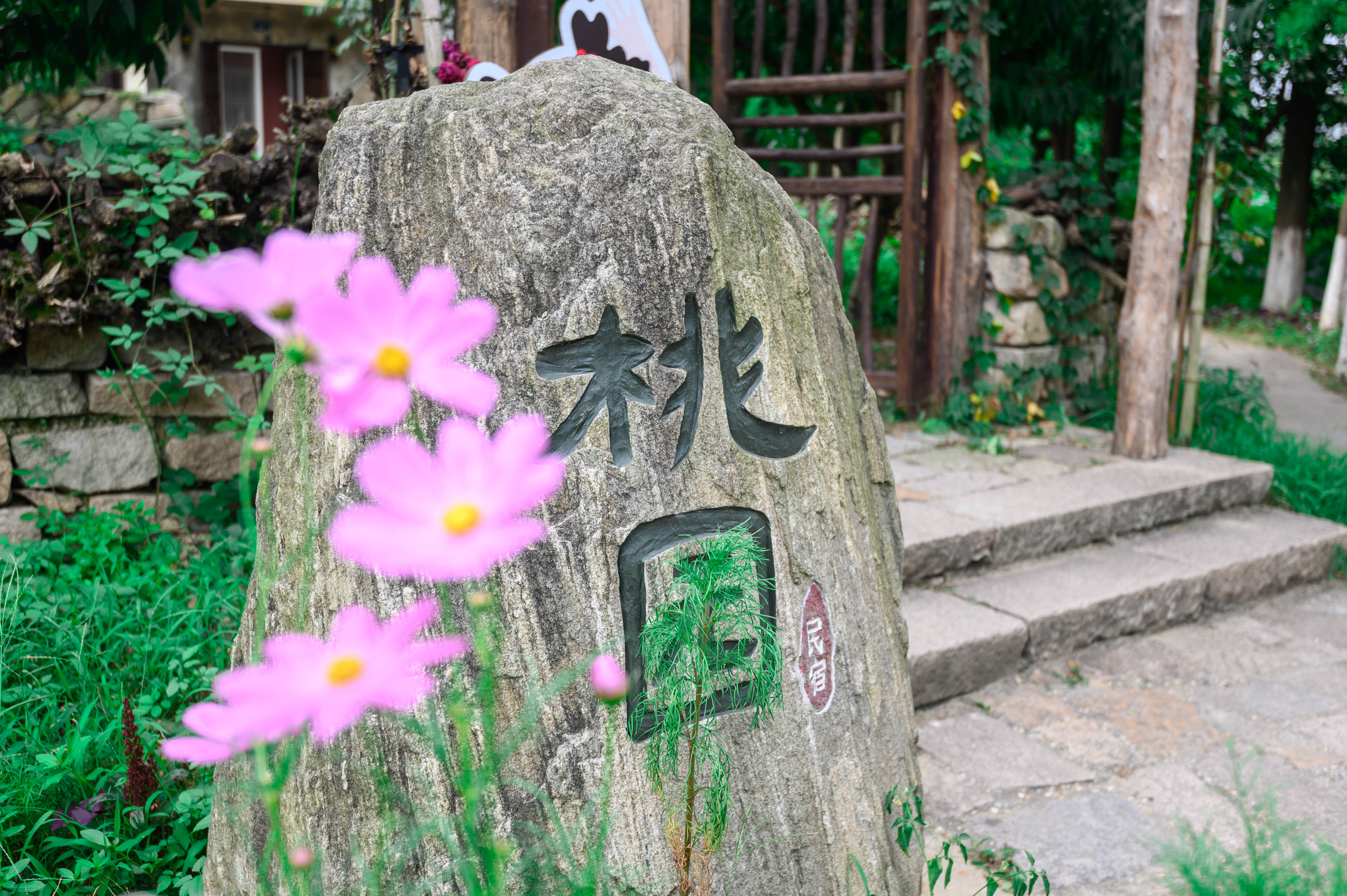 知道乌村吗，孩子来了就不愿离开，住乌村去西栅可以省150元