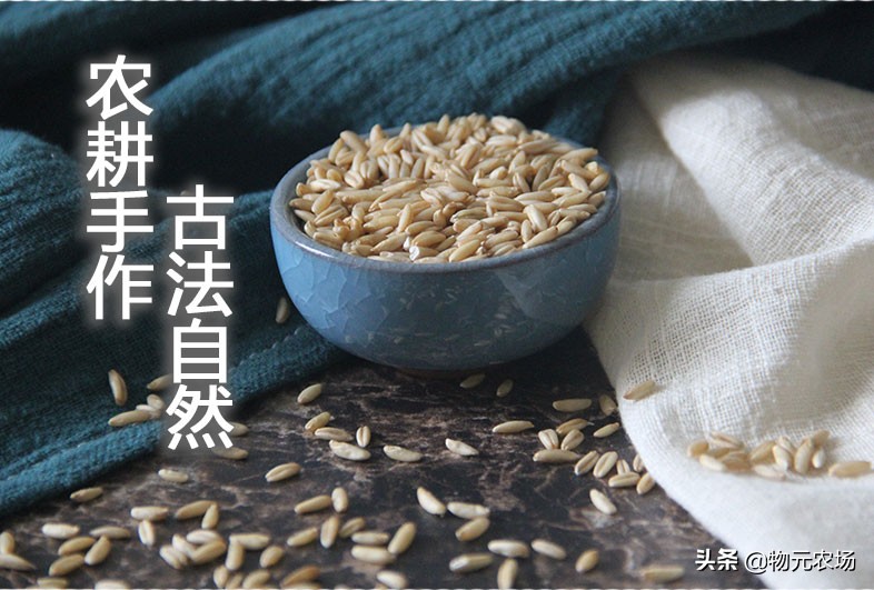 营养餐如何让燕麦更美味可口,营养早餐燕麦搭配食谱大全