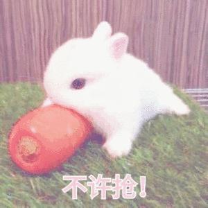 天猫出售假货商家会受到怎样处罚,天猫旗舰店卖假货怎么处罚