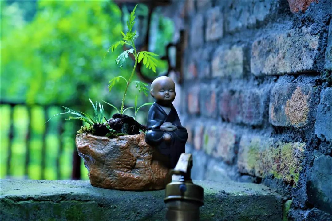 黄山小众美景,冬游黄山邂逅人间仙境