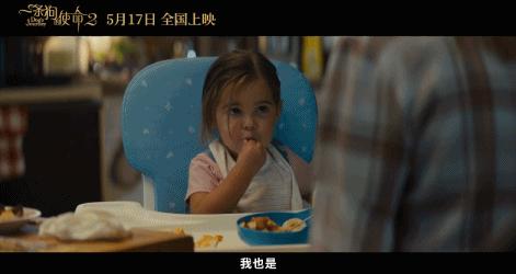 狗狗的第二次重生怎样取名字,狗狗轮回的一生