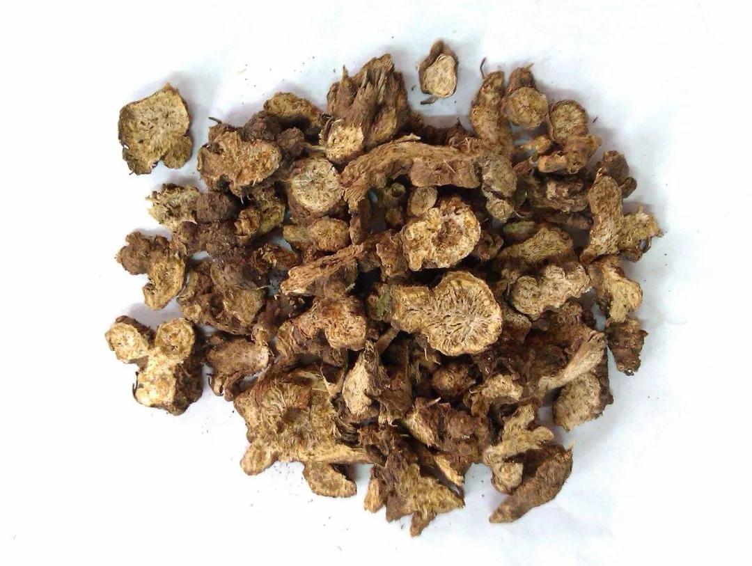 养生知识视频教程,养生知识短视频