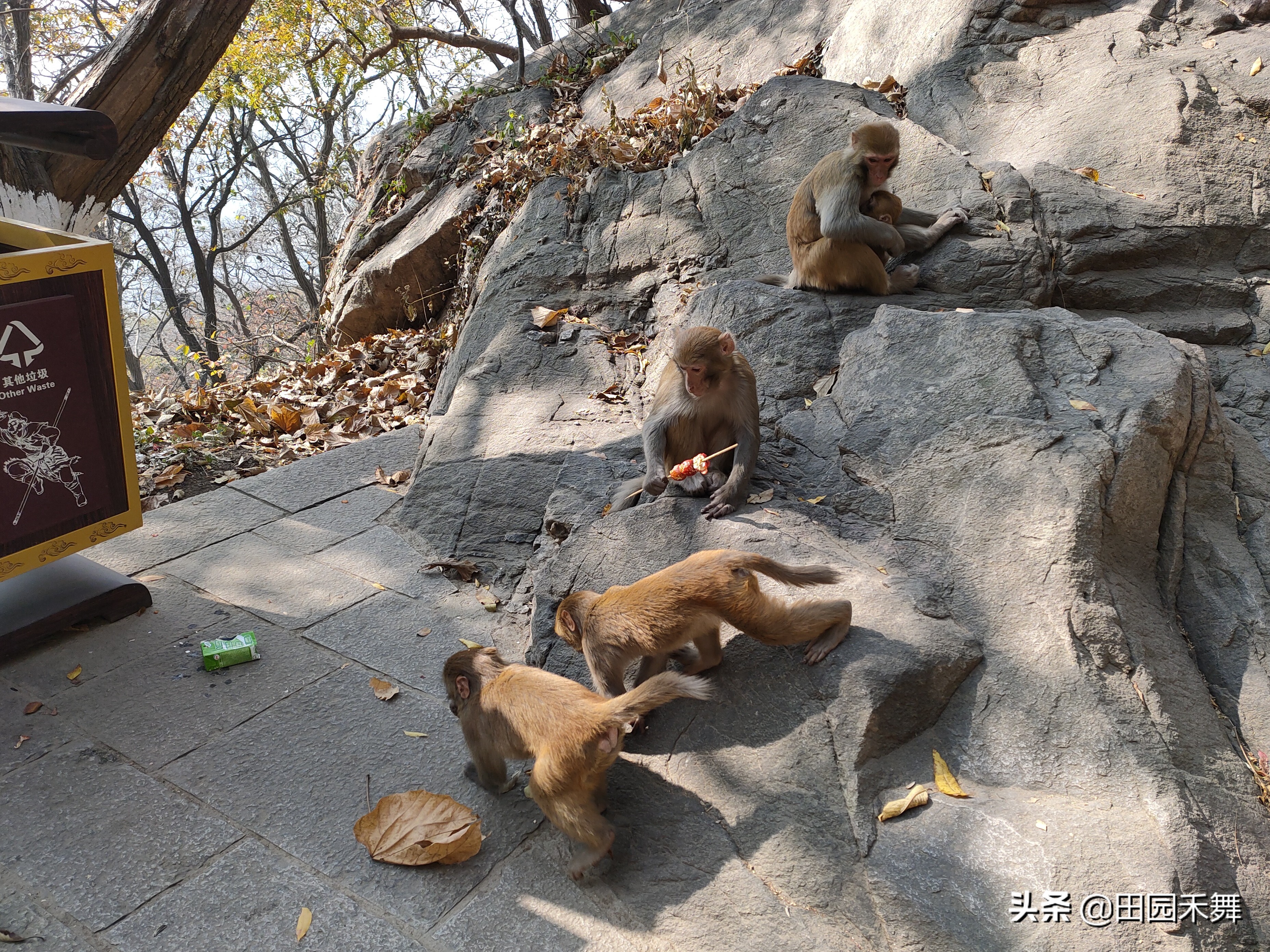 连云港花果山旅游景点路线图,连云港花果山景点