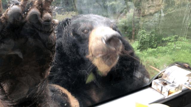 雅安旅行攻略亲子游,雅安市旅行攻略自由行路线