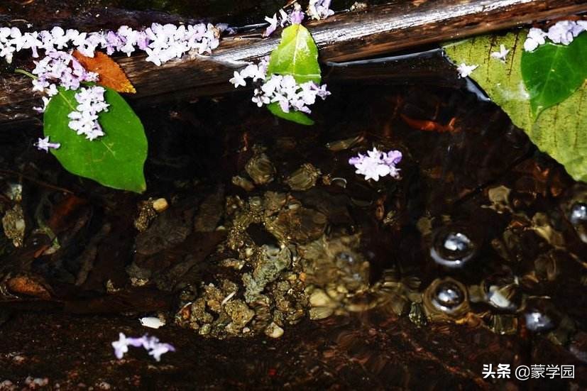 形容山水风景优美的成语诗句,100个风景优美成语