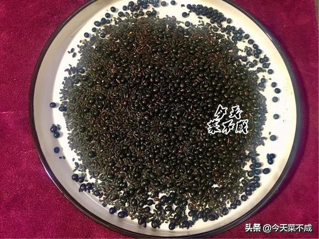 早餐豆浆加什么又营养又帮助消化,早餐豆浆全家最佳配方大全