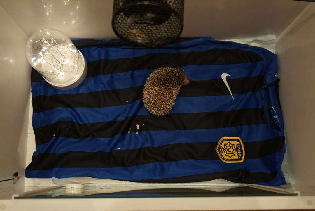 0首付月供约3000起,0首付月供5000左右