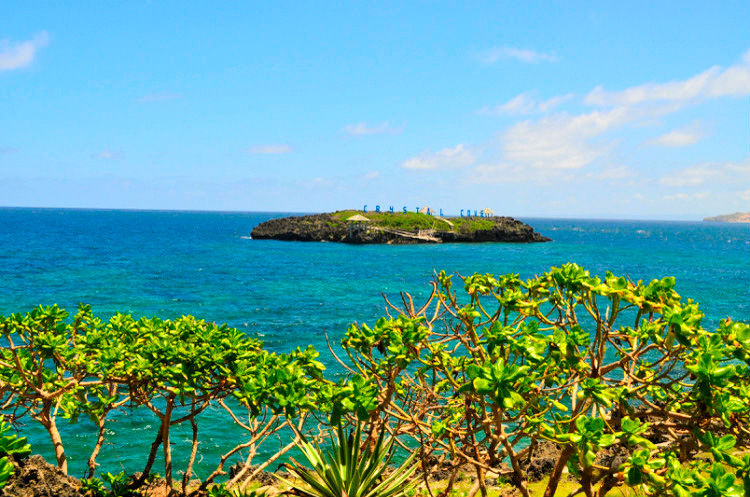 出国旅游合格的代购,出国旅游要帮同学代购吗