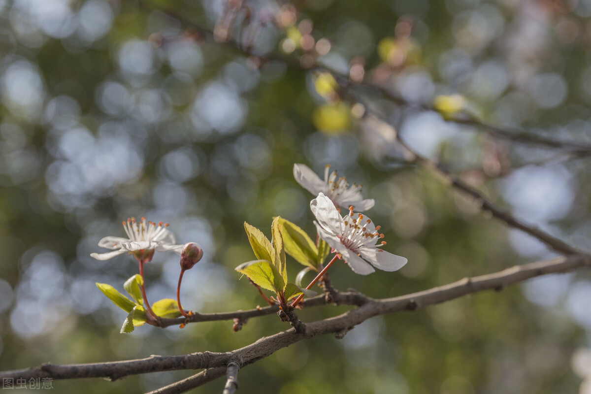 文案大全3000条模板,150000条爆款文案素材简短