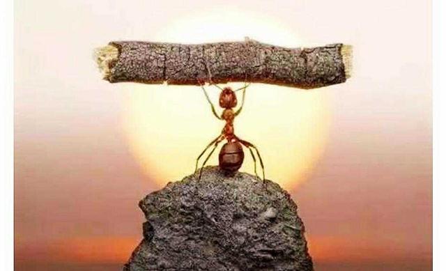 失落的百年致富圣经讲的是啥,失落的百年致富圣经哪本好