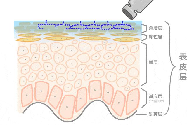 风很大又好用的化妆品,风很大的大牌护肤品