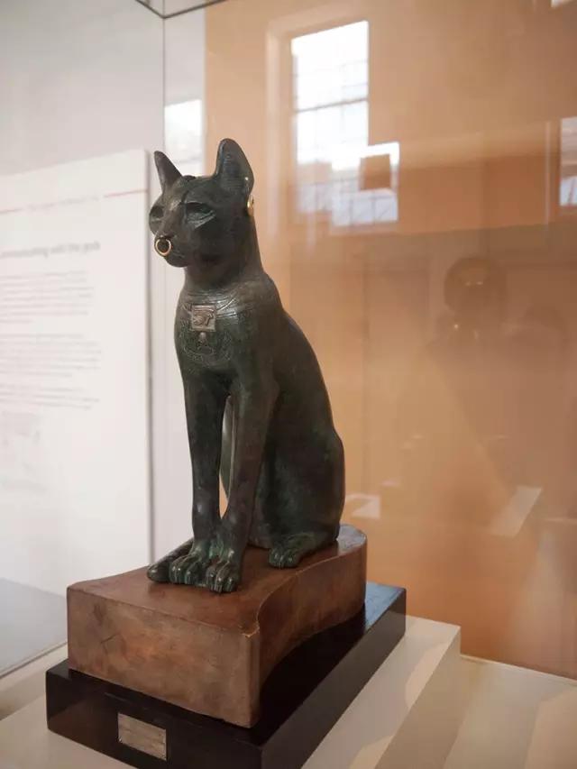 人类对猫的发展史,猫在人类发展历史的地位