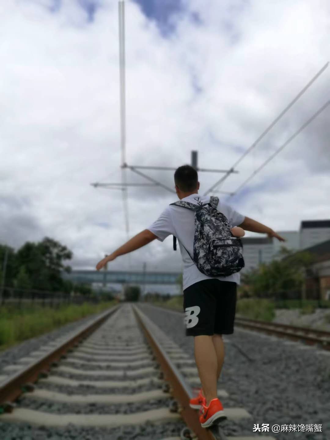 2019努力拼搏,各自忙碌各自安好什么意思