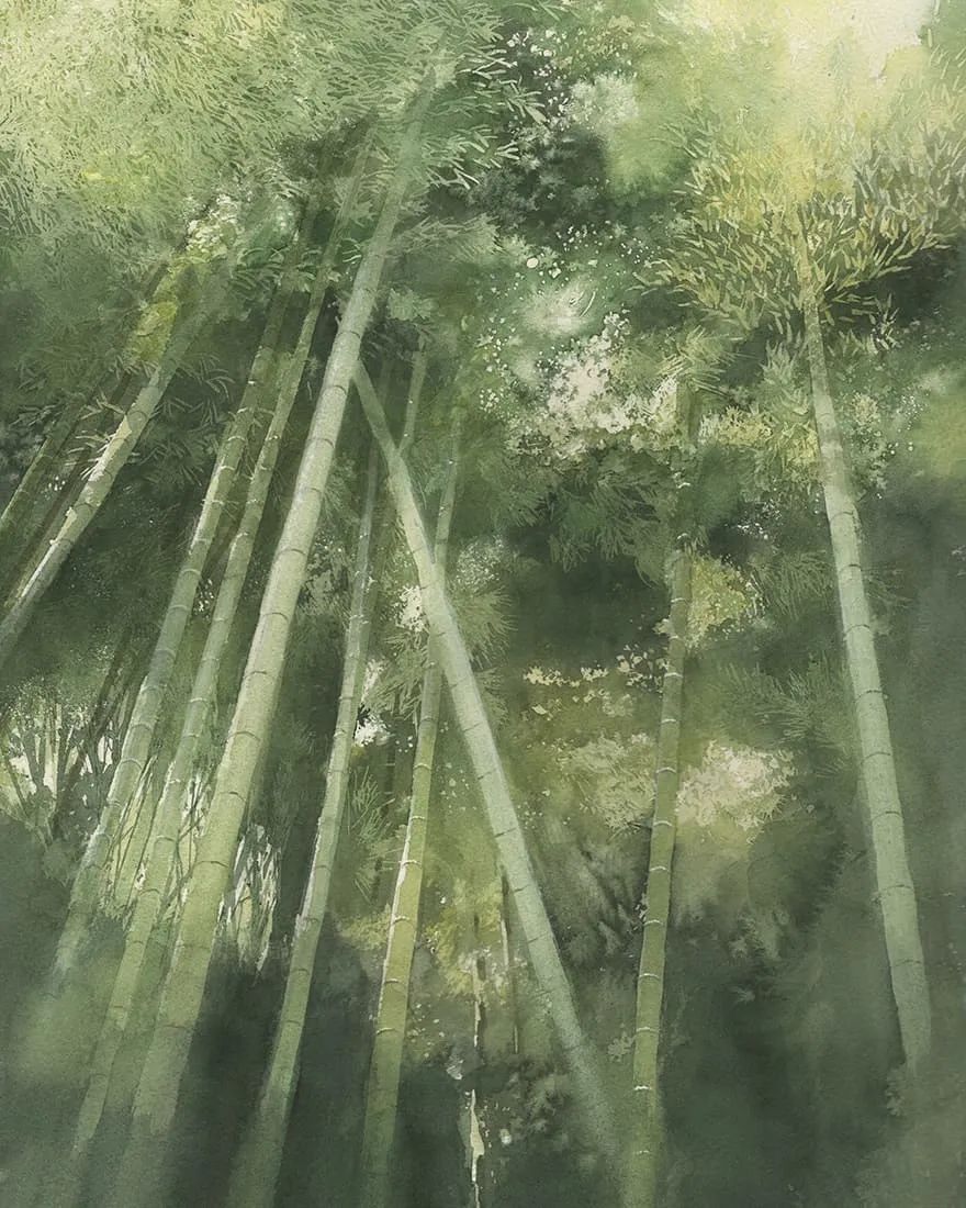 水彩大师笔下的花卉,简单唯美的水彩花卉