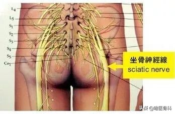 腰椎间盘突出手术后多久可以跑步,患了腰椎间盘突出还能跑步吗