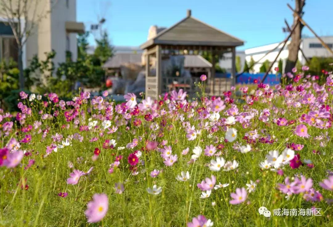 威海南海家园,威海南海新区最具幸福感城市