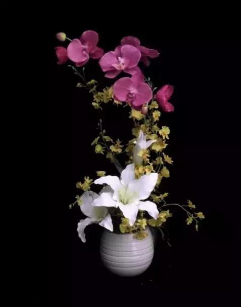 中国十大名贵稀有植物物种,全身是宝的名贵植物有哪些